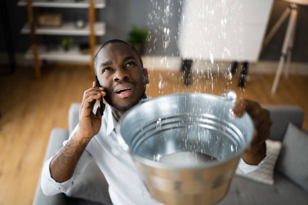 Best Flood damage cleanup  in Norwood Young America, MN