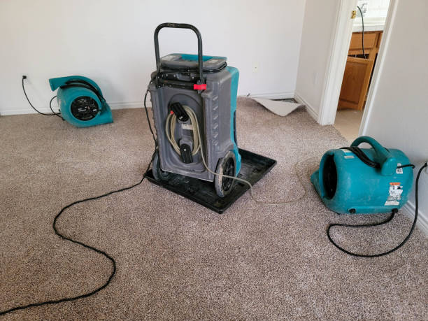 Best Fire Damage Restoration  in Norwood Young America, MN