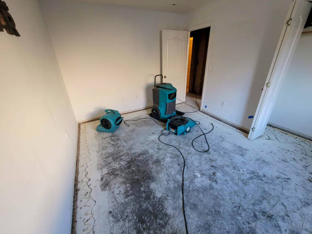 Best Flood damage cleanup  in Norwood Young America, MN